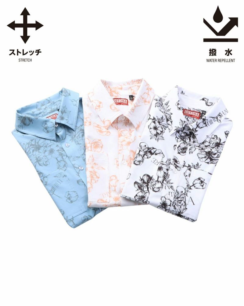 カラーバリエーション