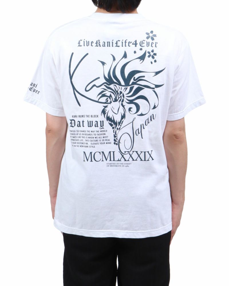 ホワイト：173cm60kg(Lサイズ着用