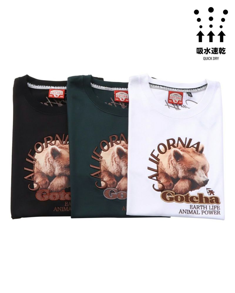 カラーバリエーション