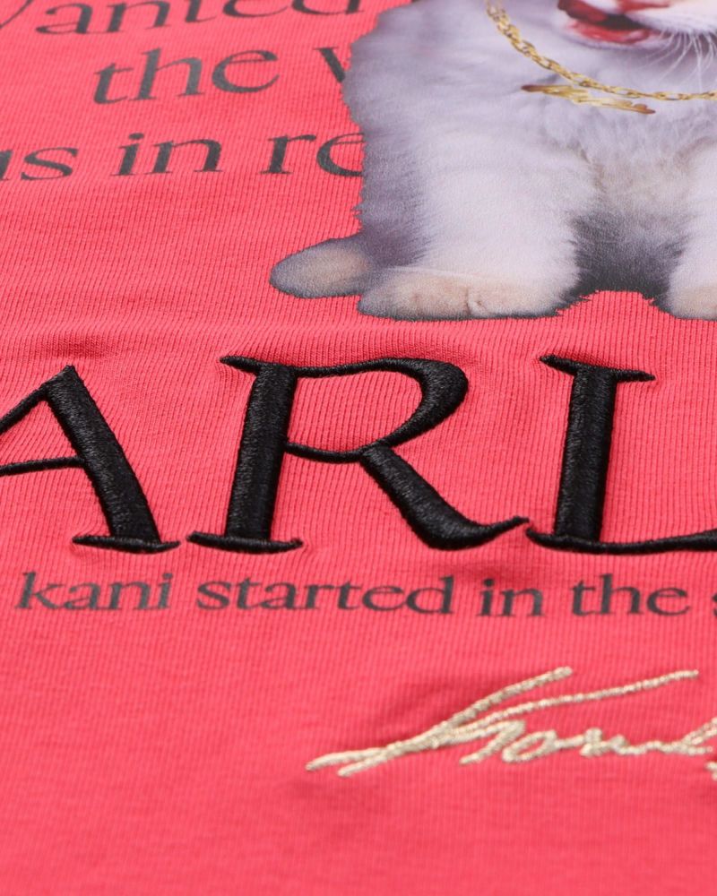 アイテムイメージ