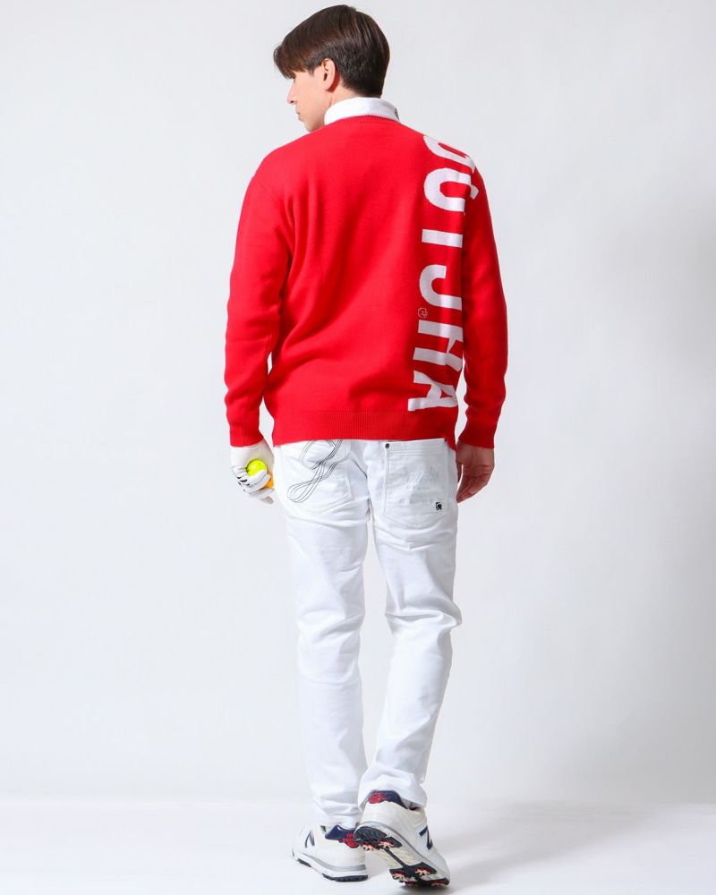 レッド：180cm/70kg(Lサイズ着用)