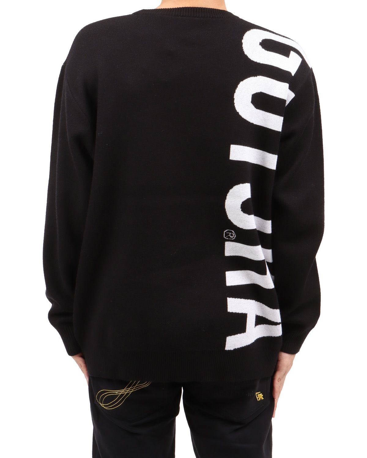 ブラック：173cm63kg(Lサイズ着用)