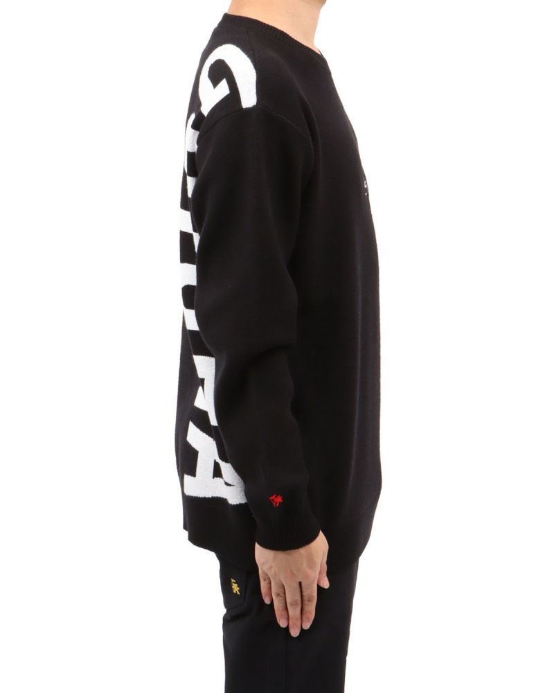 ブラック：173cm63kg(Lサイズ着用)