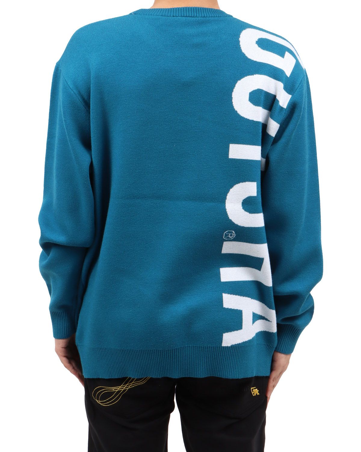 ブルー：173cm63kg(Lサイズ着用)