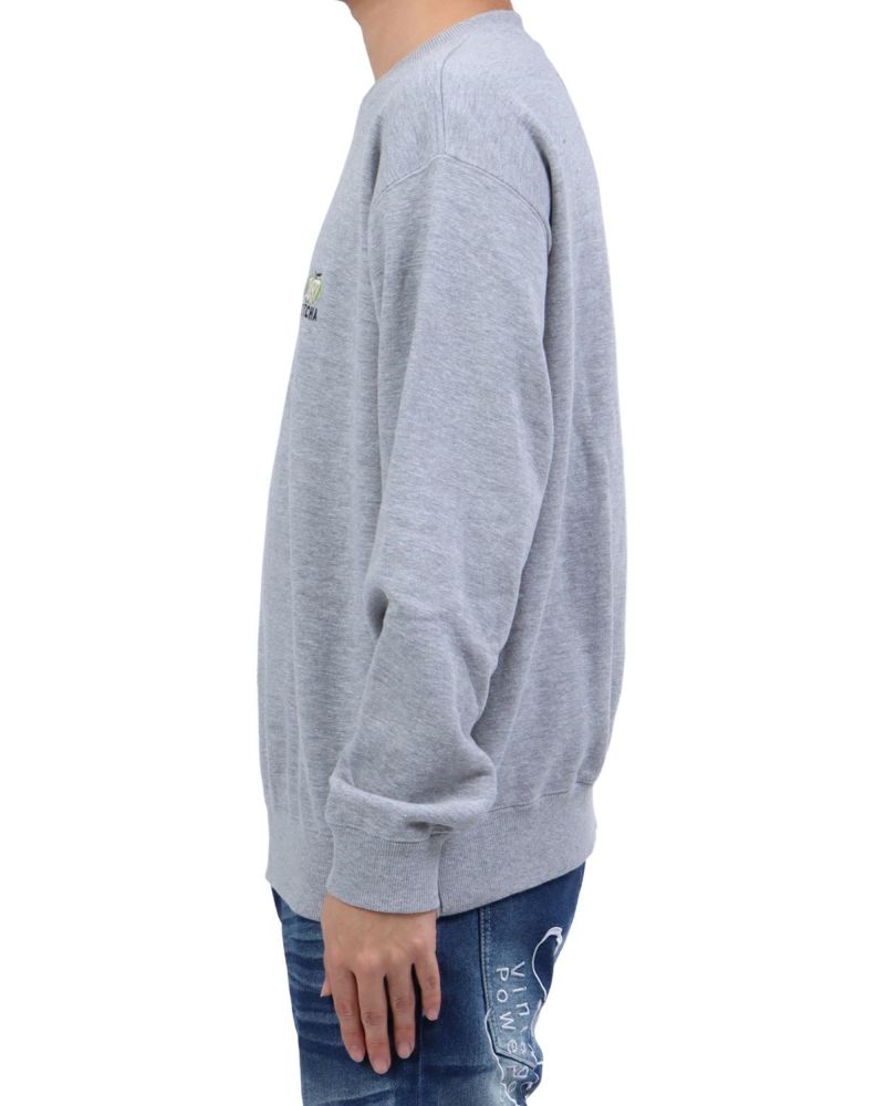 杢グレー：173cm63kg(Lサイズ着用)