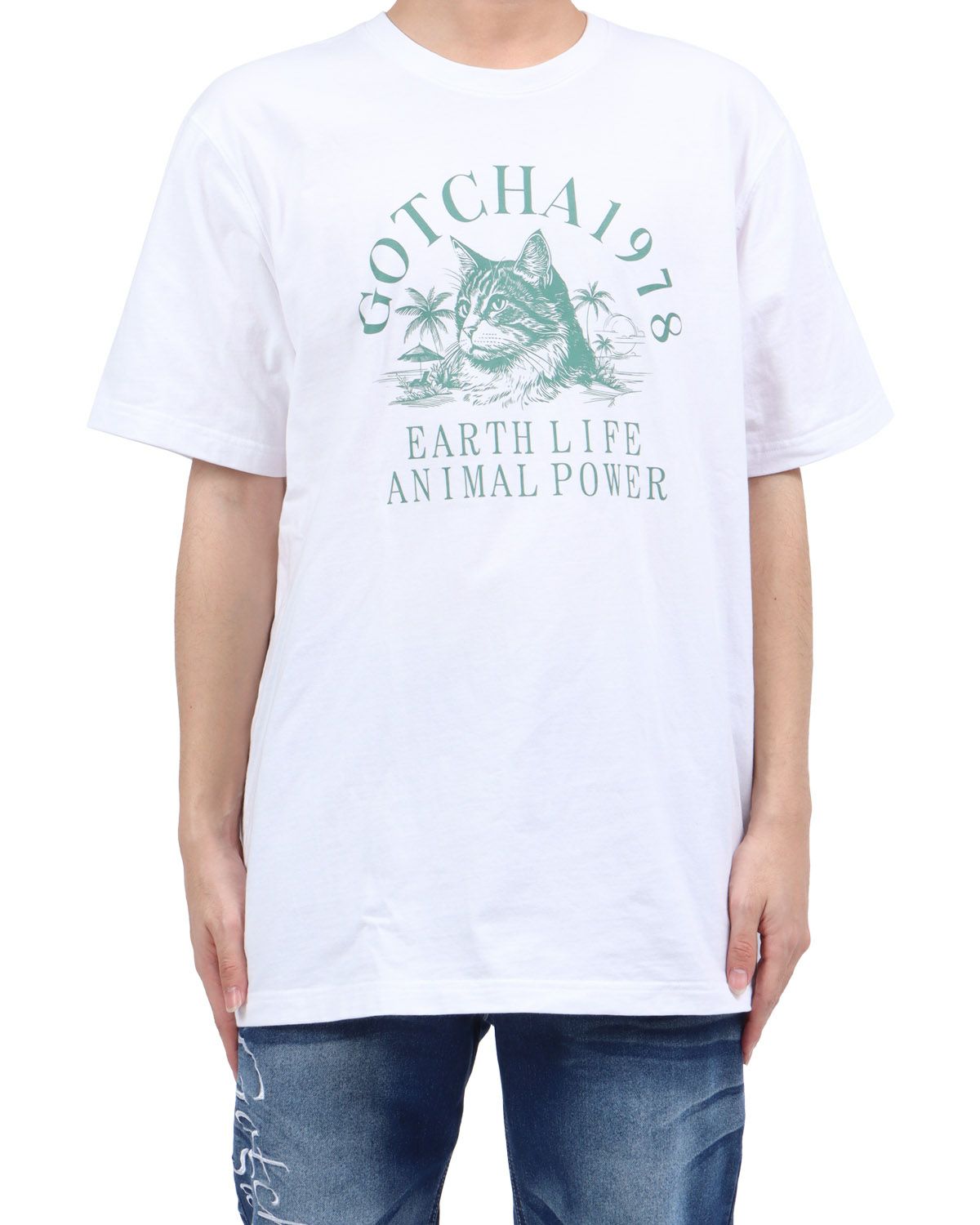 ホワイト×メインクーン：173cm63kg(XXLサイズ着用)