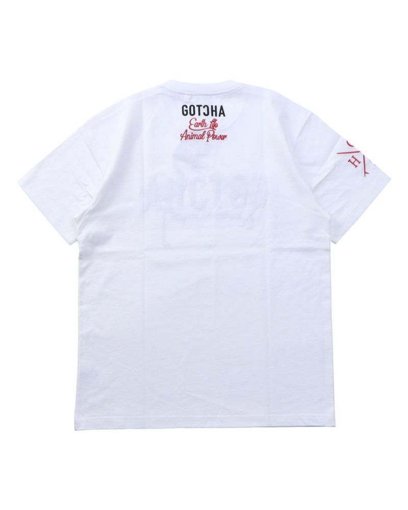 アイテムイメージ