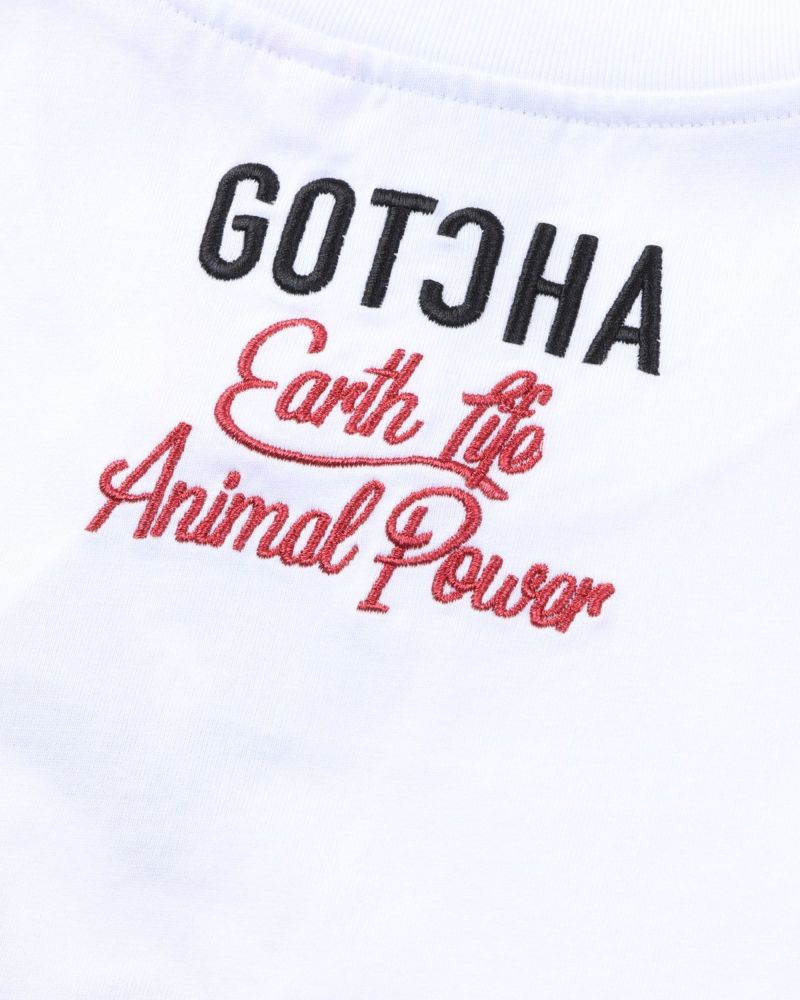 アイテムイメージ