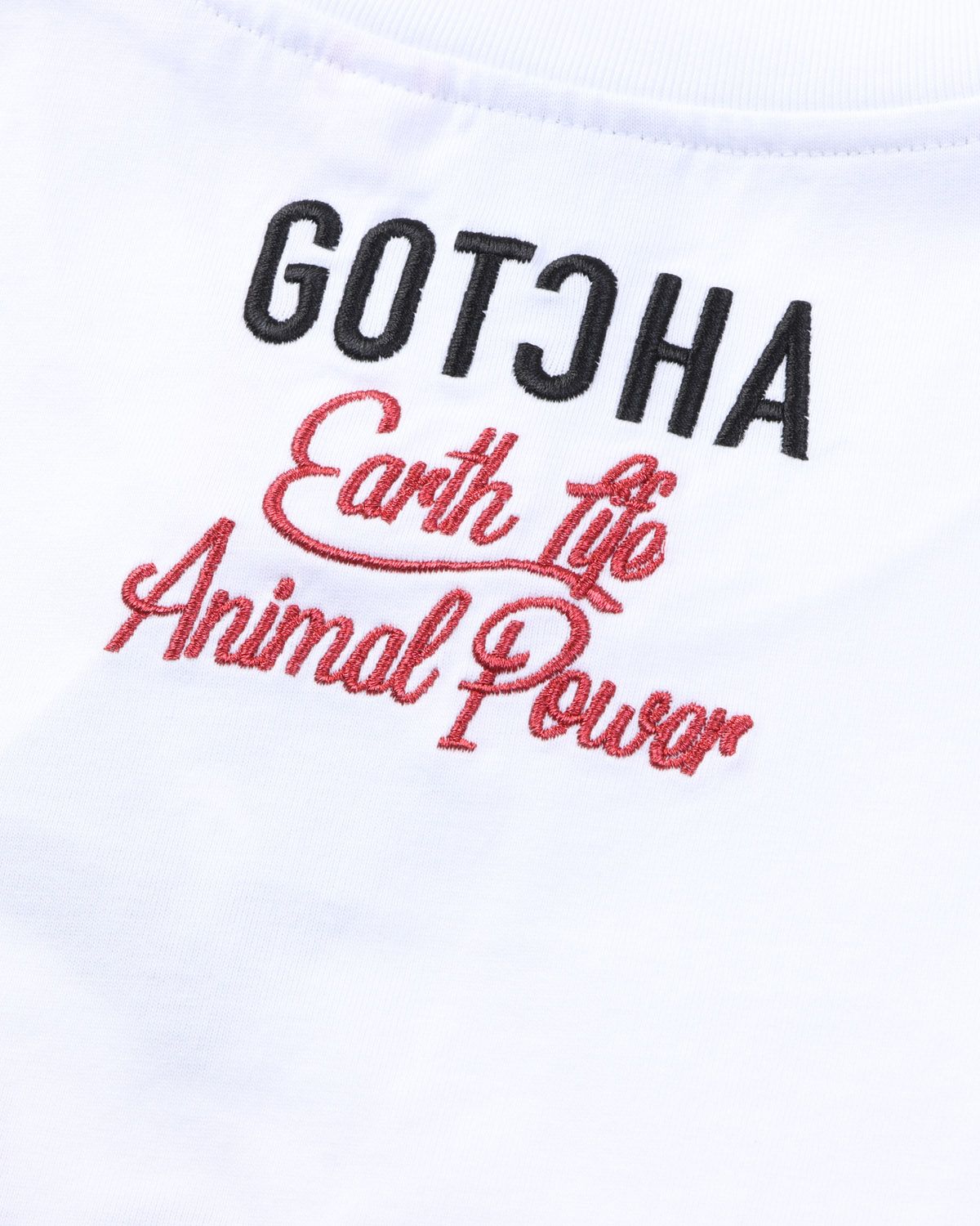 アイテムイメージ