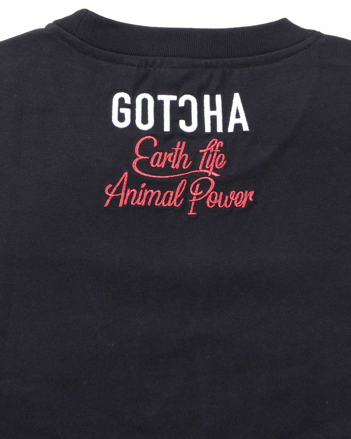 アイテムイメージ